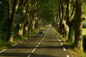 On les voit tous les jours en voiture… mais personne ne sait vraiment à quoi ils servent