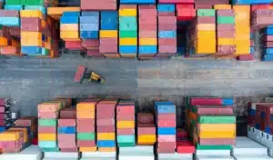 Un pari fou à 3 200 $ : elle ouvre le conteneur et tombe sur un trésor inattendu