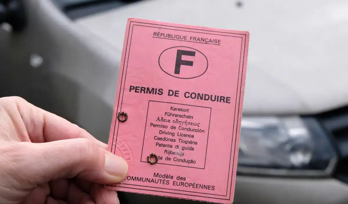 Fin du permis rose : les Français bientôt obligés de le changer, tout va basculer à cette date