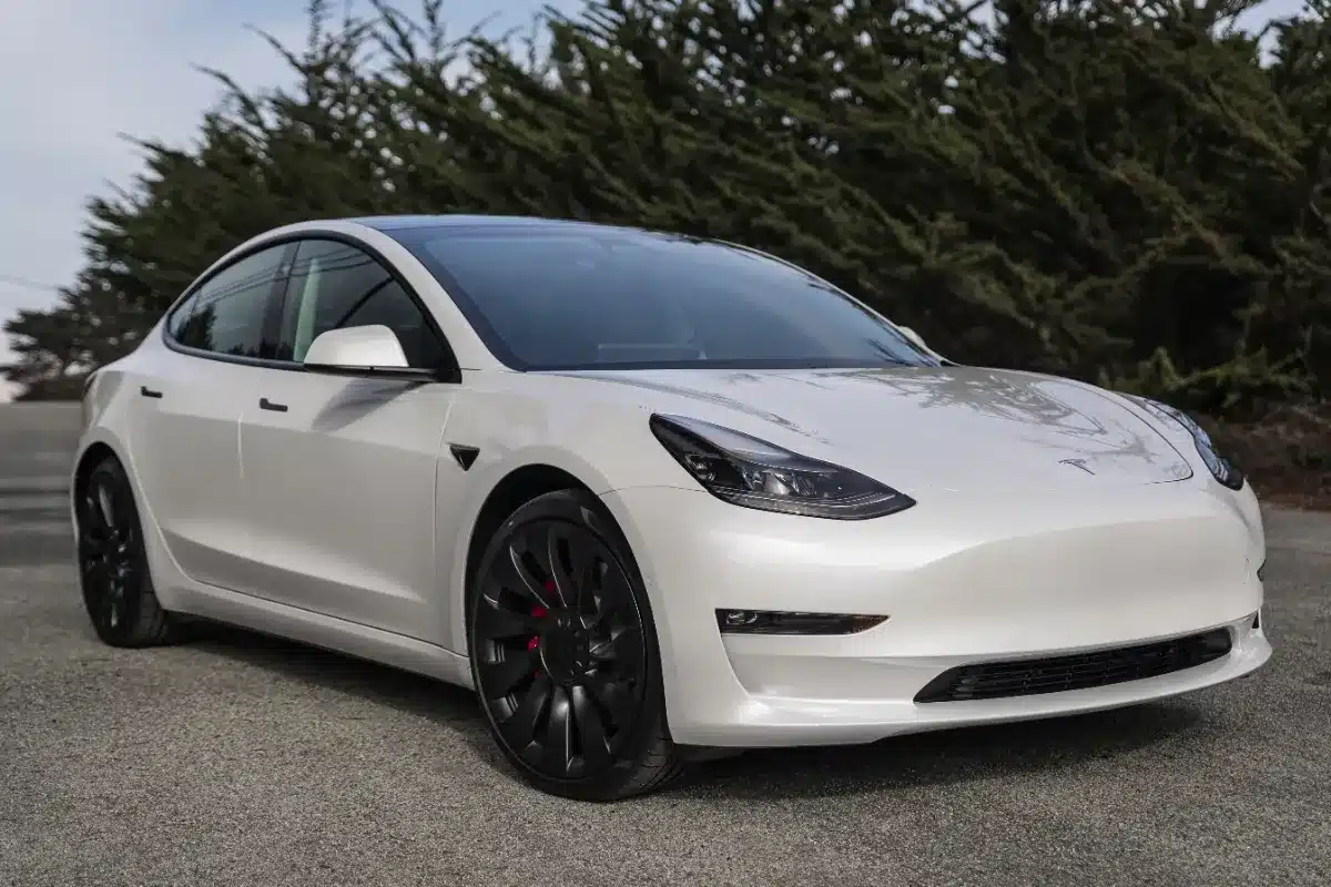 Il laisse sa Tesla dehors à -36 °C sans la préparer : cette expérience vire au cauchemar