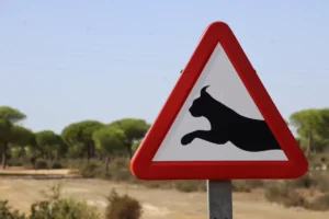 Ce nouveau panneau sur les routes françaises intrigue les automobilistes : voici ce qu'il signifie vraiment et pourquoi il change tout