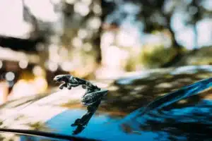 Près de Clermont, un garagiste fonce avec la Jaguar d'un client et pulvérise le radar des policiers